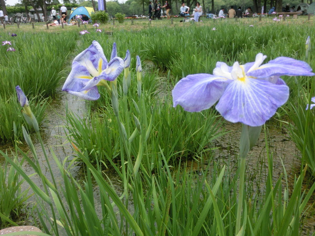 ホームページを公開しました　行政書士葛飾江戸川総合法務事務所