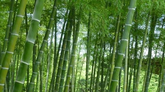 行政書士葛飾江戸川総合法務事務所